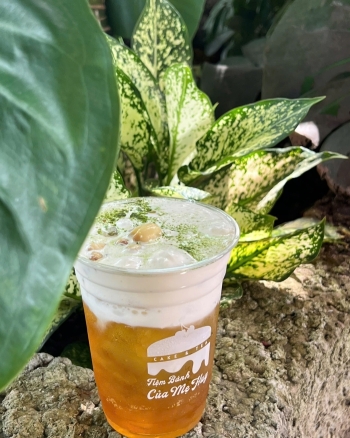 Olong Hạt Sen Size L