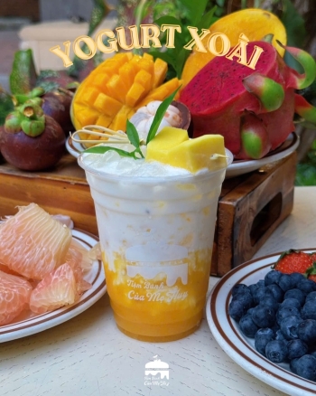 Yogurt Xoài Size M